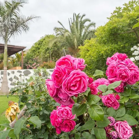 Canarian Farm With Pool Los Paredones Vergara