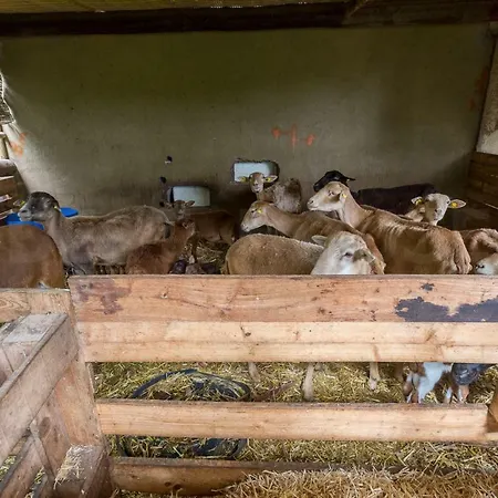 Canarian Farm With Pool Los Paredones Landhuis *