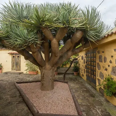 Canarian Farm With Pool Los Paredones Country house