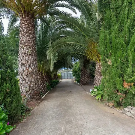 Canarian Farm With Pool Los Paredones * Vergara