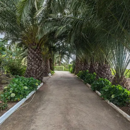 Country house Canarian Farm With Pool Los Paredones Vergara