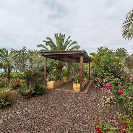 Canarian Farm With Pool Los Paredones * Vergara