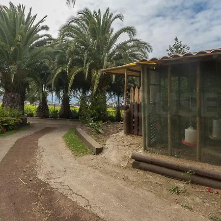 Canarian Farm With Pool Los Paredones Vergara