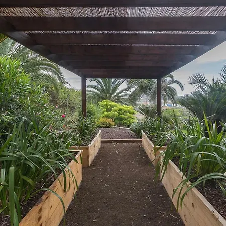 Country house Canarian Farm With Pool Los Paredones