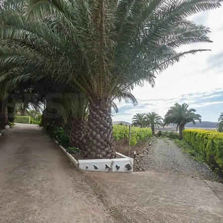 Canarian Farm With Pool Los Paredones Country house