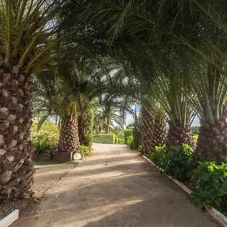 Canarian Farm With Pool Los Paredones Vergara