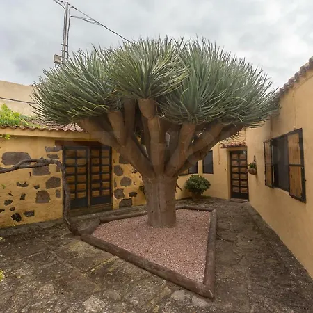 Country house Canarian Farm With Pool Los Paredones Vergara