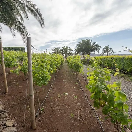 Canarian Farm With Pool Los Paredones Vergara