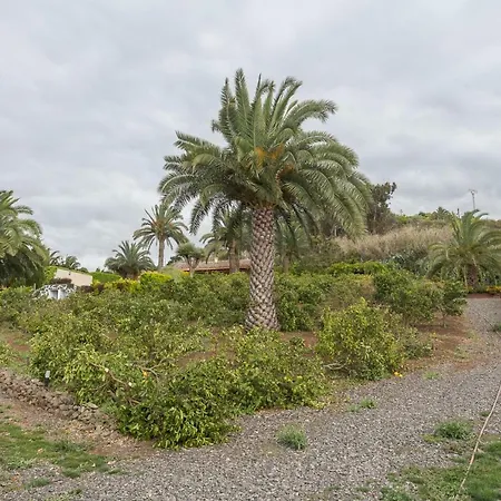 Country house Canarian Farm With Pool Los Paredones